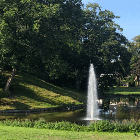 Fontein in de vijver van het Wilhelminapark in buurt Centrumschil Zuid