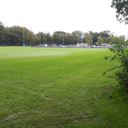 Groen grasveld van voetbalveld op sportpark Blikkenburg
