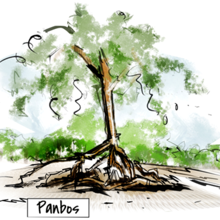 Tekening van een boom in het panbos van Zeist